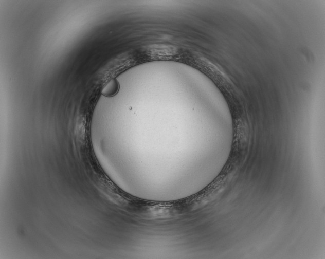 X0000112890761200909111504
