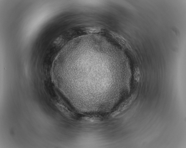 X0000112890763200909111504