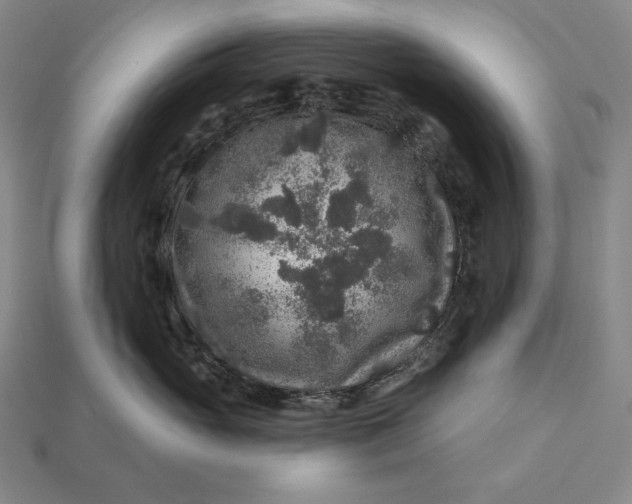 X0000112890765200909111504