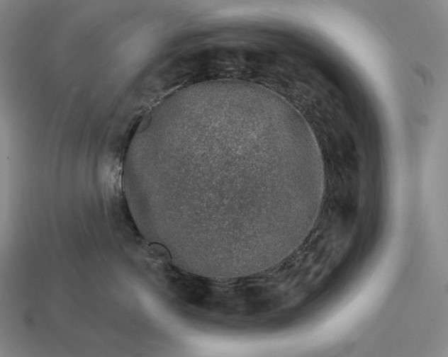 X0000112890766200909111504