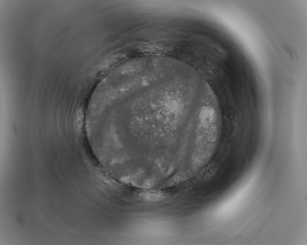 X0000112890767200909111504
