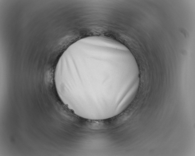 X0000112890768200909111504