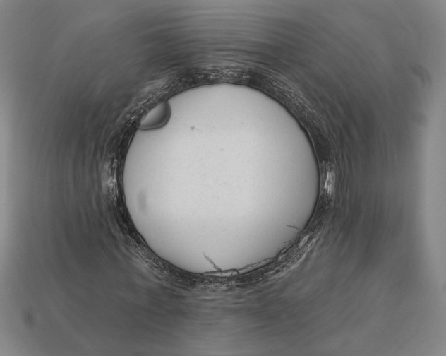 X0000112890771200909111503