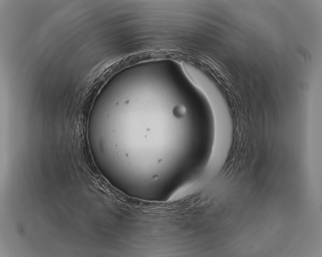 X0000112890773200909111503