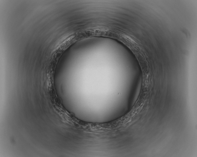 X0000112890774200909111503