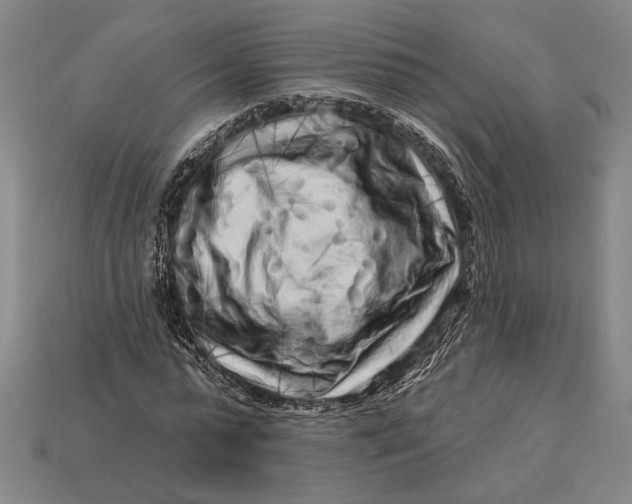X0000112890775200909111503