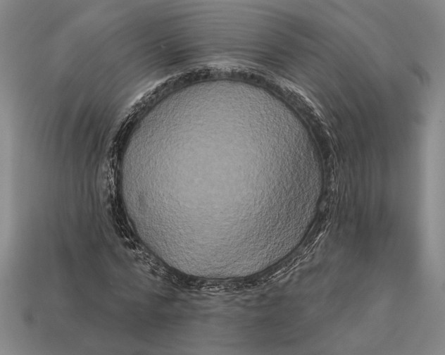 X0000112890776200909111503
