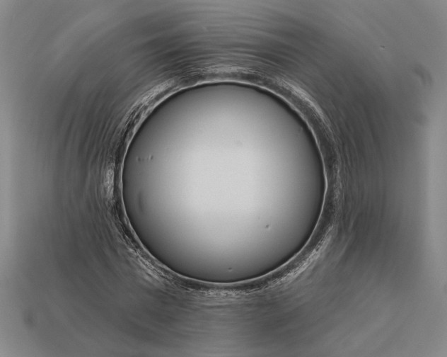 X0000112890777200909111503