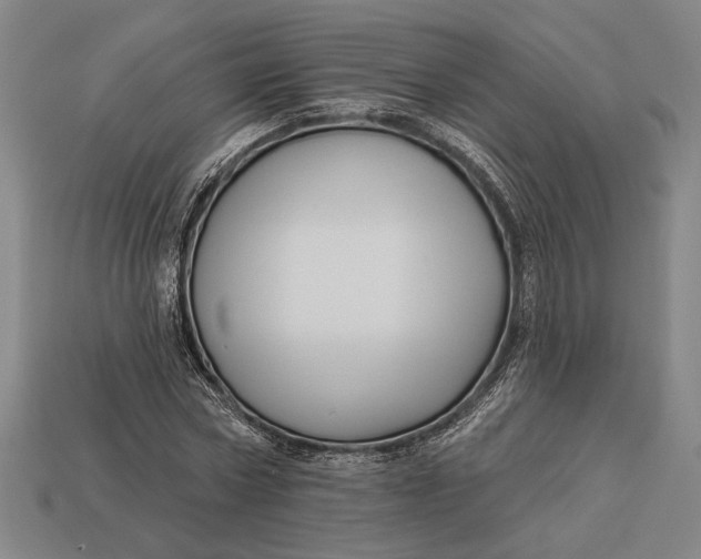 X0000112890778200909111503