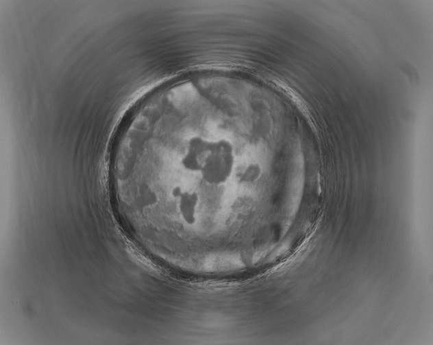 X0000112890779200909111503