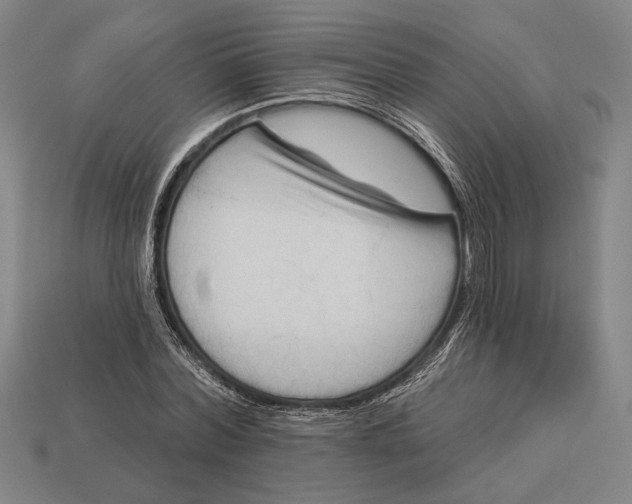X0000112890780200909111503