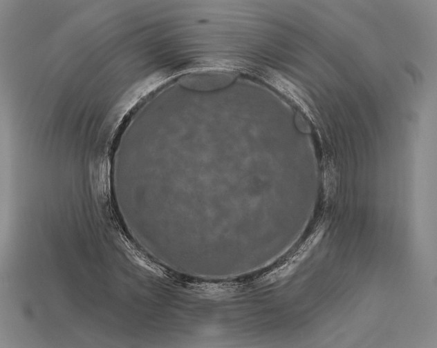 X0000112890781200909111503