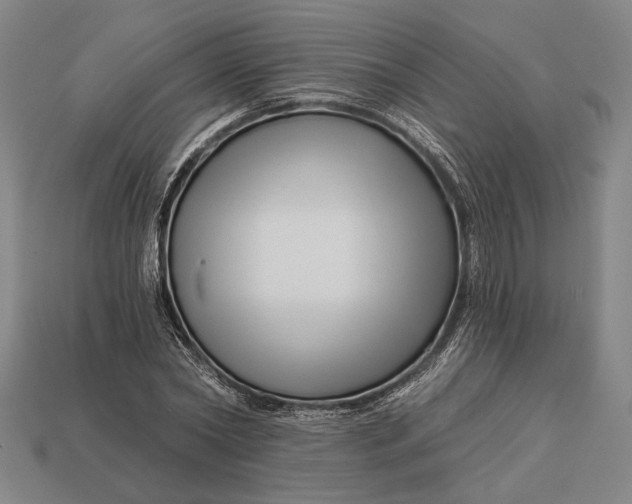 X0000112890782200909111503