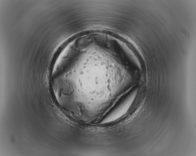 X0000112890783200909111503