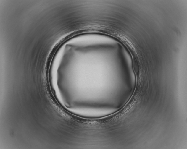 X0000112890784200909111503