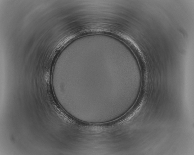 X0000112890785200909111503