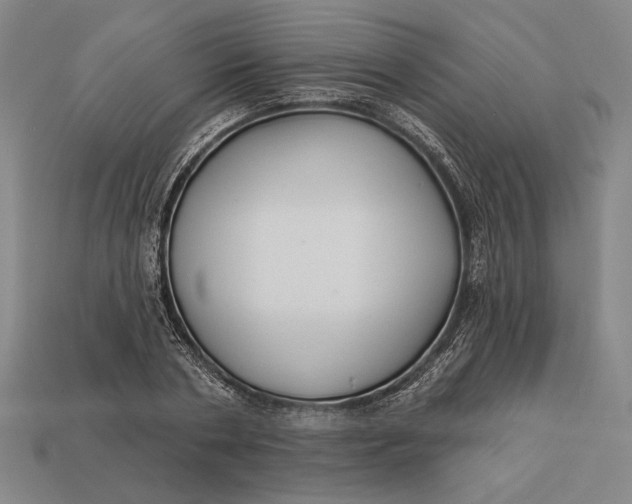 X0000112890786200909111503