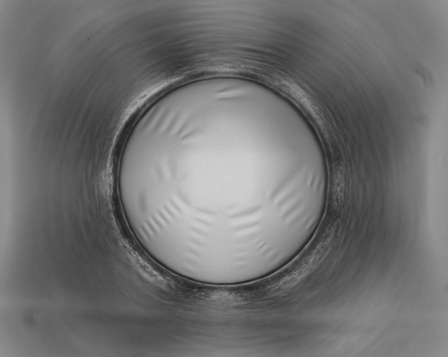 X0000112890787200909111503