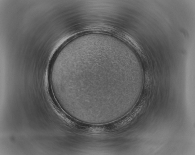 X0000112890788200909111503