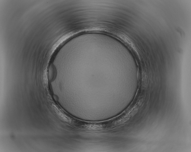 X0000112890789200909111503
