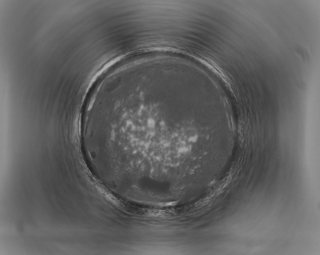 X0000112890790200909111503