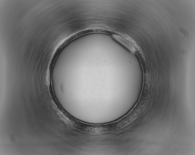 X0000112890791200909111503