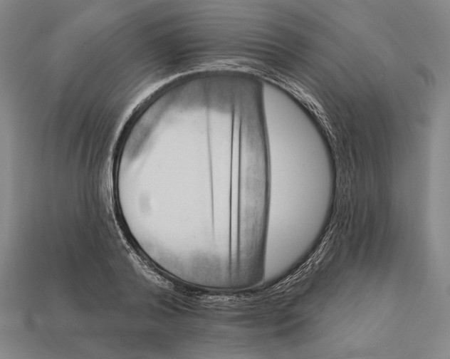 X0000112890792200909111503