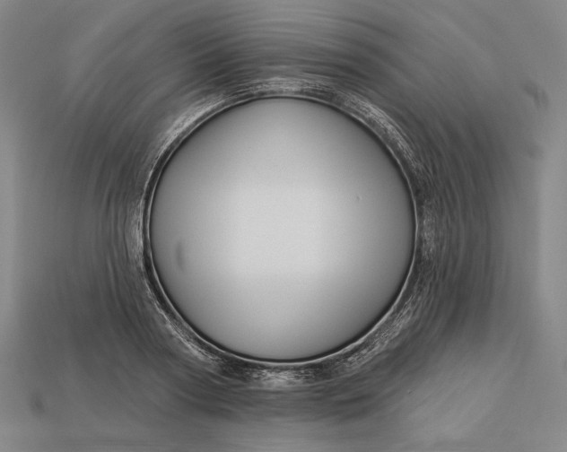 X0000112890794200909111503