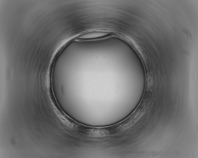 X0000112890795200909111503