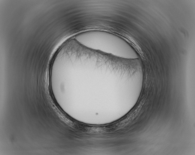 X0000112890796200909111503