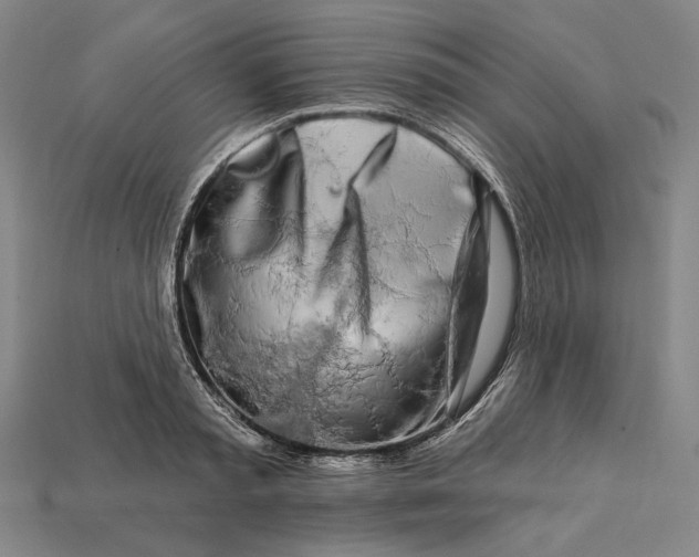 X0000112890797200909111503