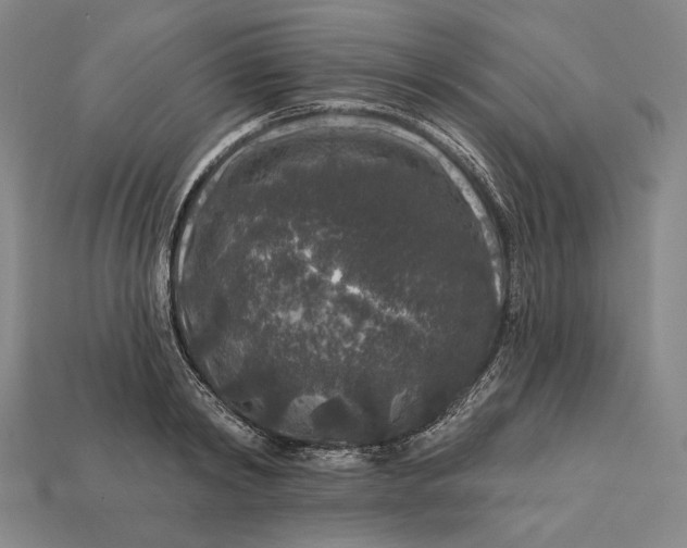 X0000112890798200909111503