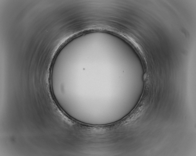 X0000112890799200909111503