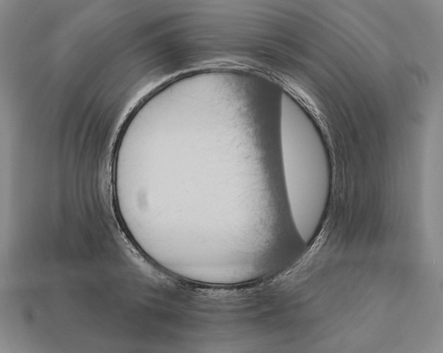 X0000112890800200909111503