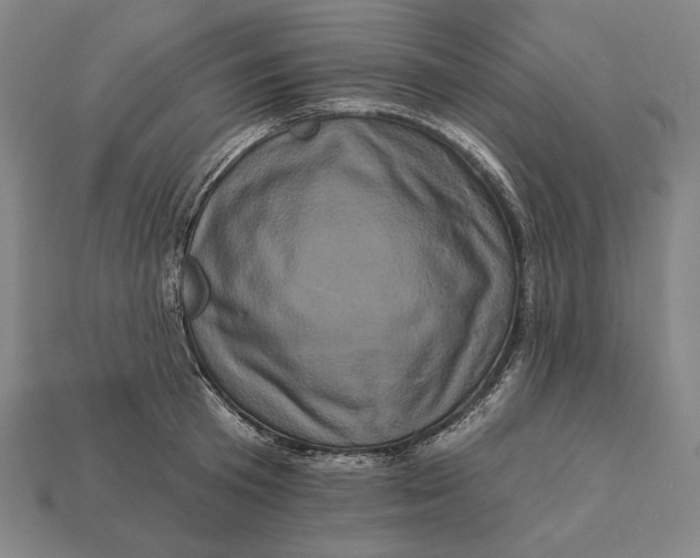 X0000112890801200909111503