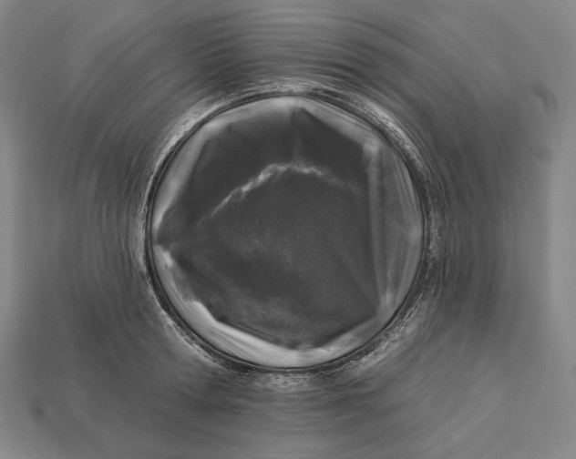 X0000112890802200909111503