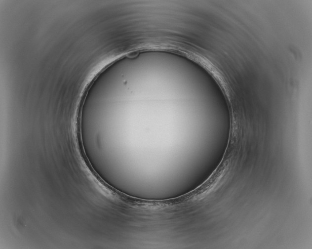 X0000112890803200909111503