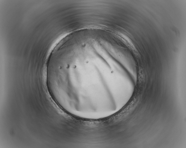 X0000112890804200909111503