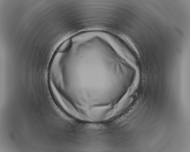 X0000112890805200909111503