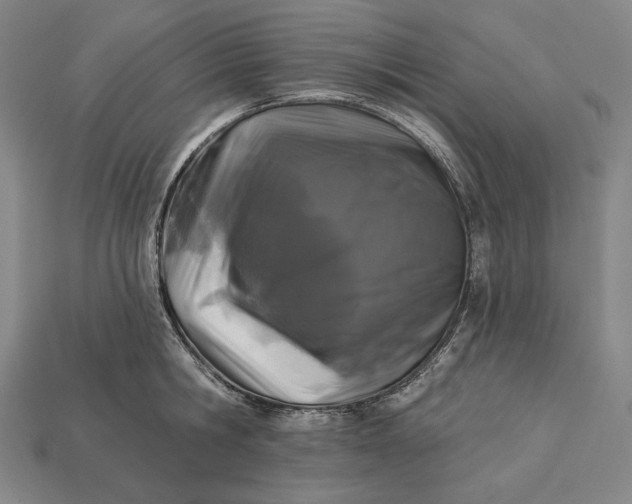 X0000112890806200909111503