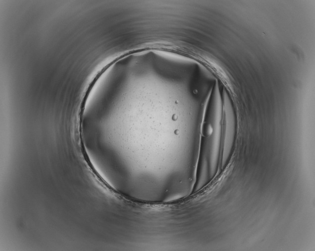 X0000112890808200909111503