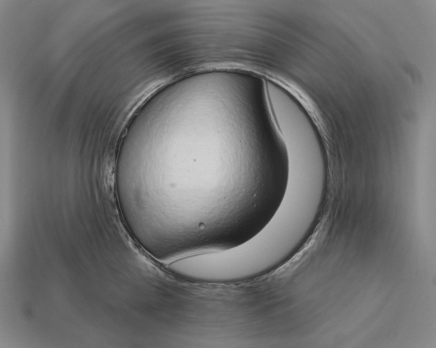 X0000112890809200909111503