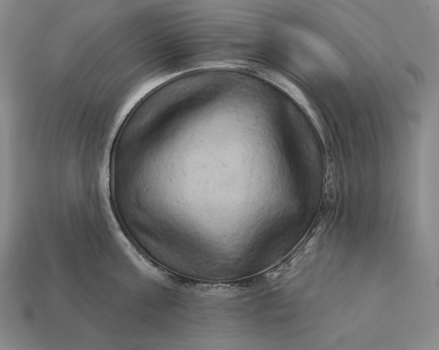 X0000112890811200909111503