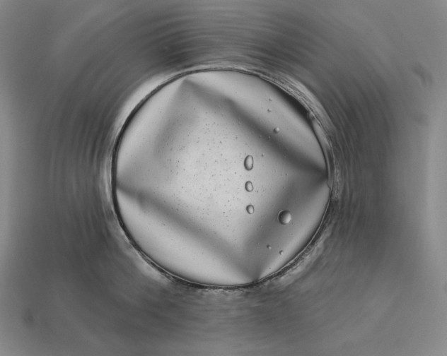 X0000112890812200909111503