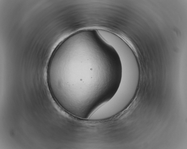 X0000112890813200909111503