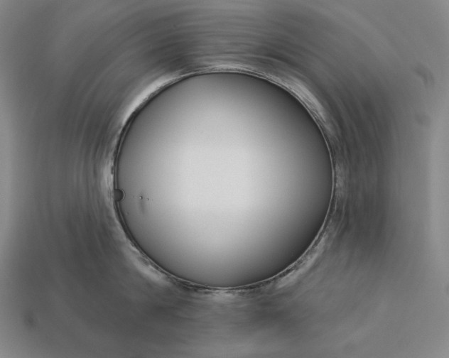 X0000112890814200909111503