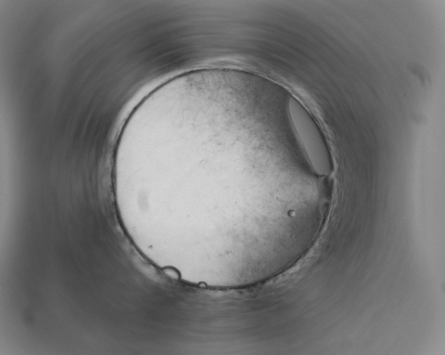 X0000112890816200909111503