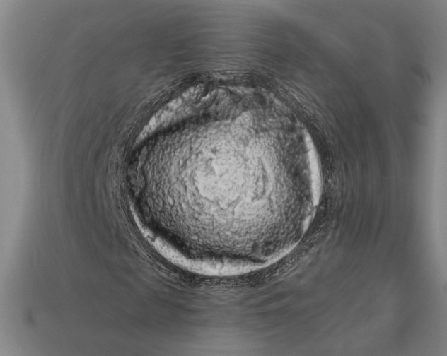 X0000112890817200909111502