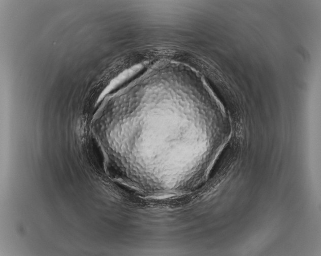 X0000112890818200909111502