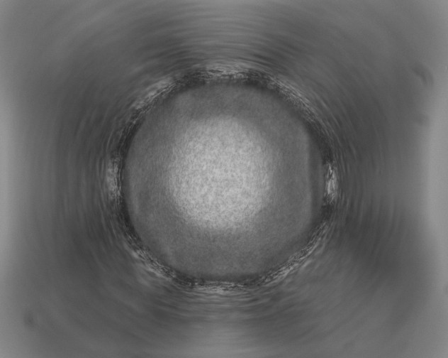 X0000112890819200909111502